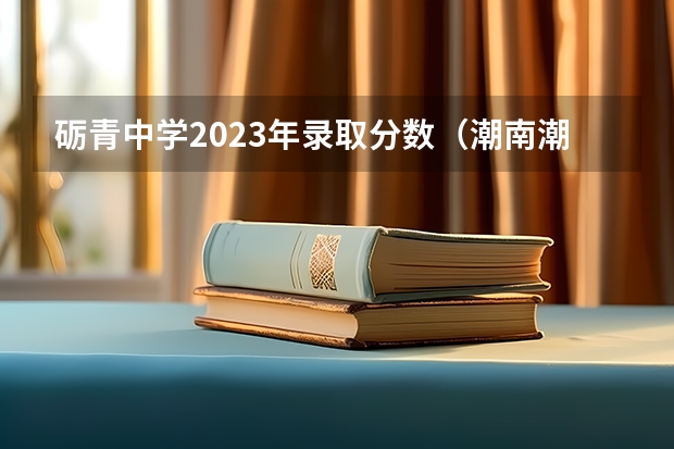 砺青中学2023年录取分数（潮南潮阳中考录取分数线）