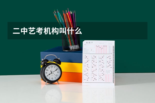 二中艺考机构叫什么