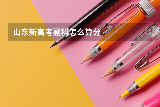 山东新高考副科怎么算分
