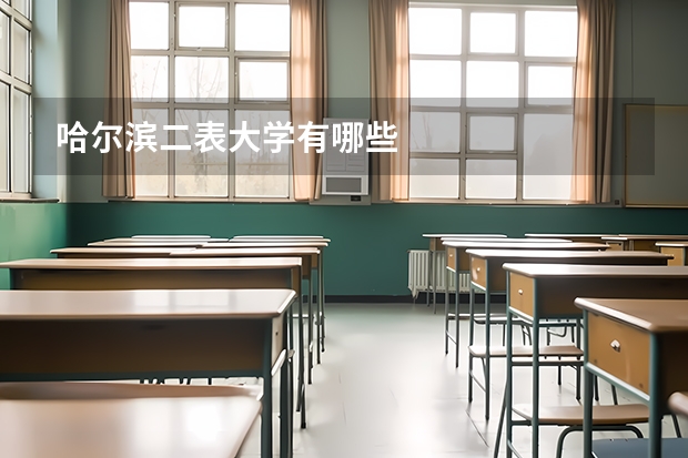哈尔滨二表大学有哪些