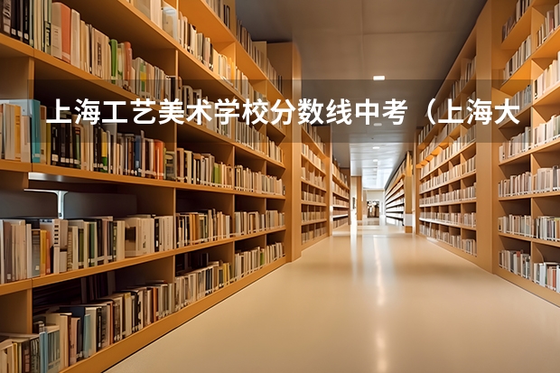 上海工艺美术学校分数线中考（上海大学上海美术学院录取分数线）