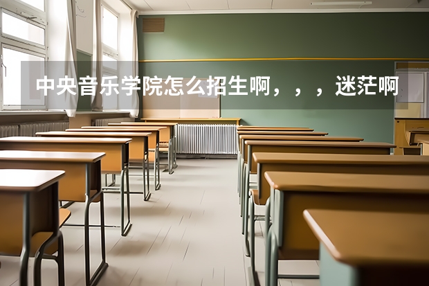 中央音乐学院怎么招生啊，，，迷茫啊