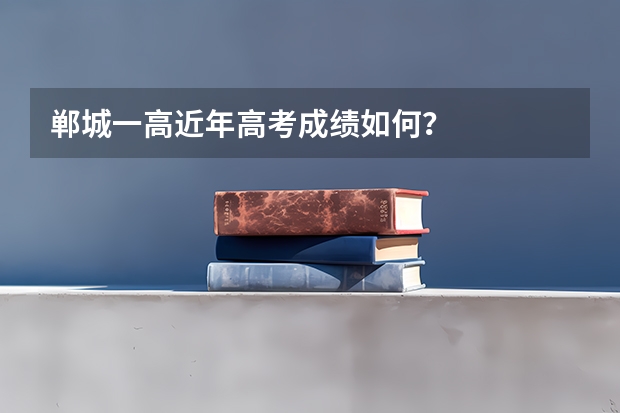 郸城一高近年高考成绩如何？