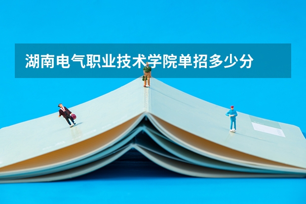 湖南电气职业技术学院单招多少分