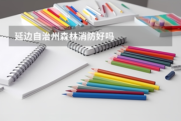 延边自治州森林消防好吗