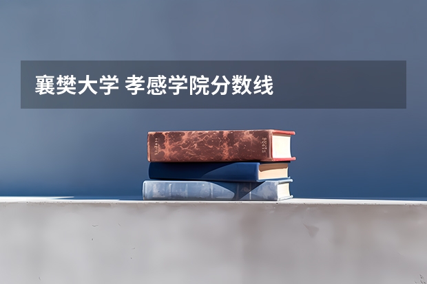 襄樊大学 孝感学院分数线
