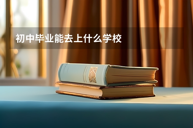 初中毕业能去上什么学校