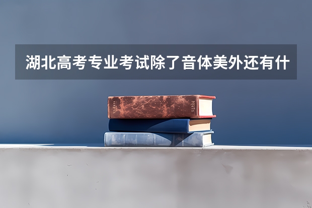 湖北高考专业考试除了音体美外还有什么?