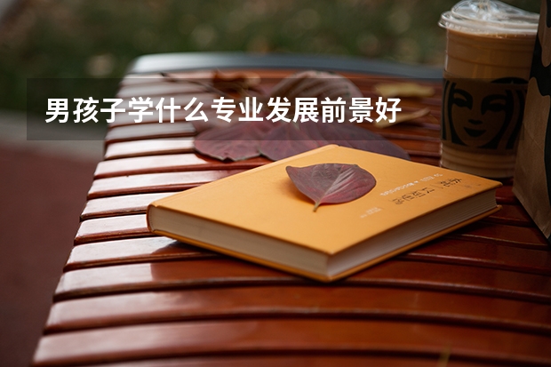 男孩子学什么专业发展前景好