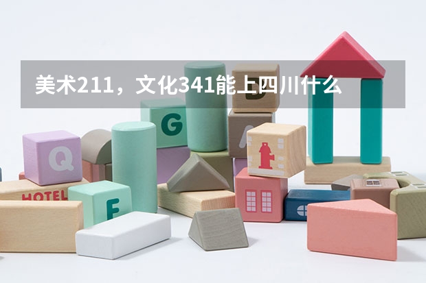 美术211,文化341能上四川什么学校?