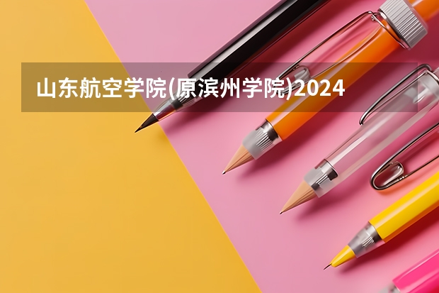 山东航空学院(原滨州学院)2024河南高考招生计划 招多少人