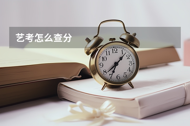艺考怎么查分
