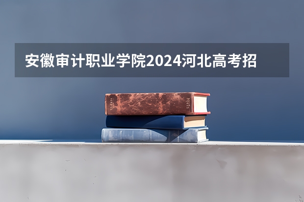 安徽审计职业学院2024河北高考招生计划 招多少人