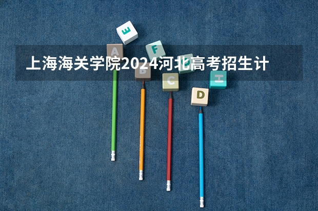 上海海关学院2024河北高考招生计划 招多少人