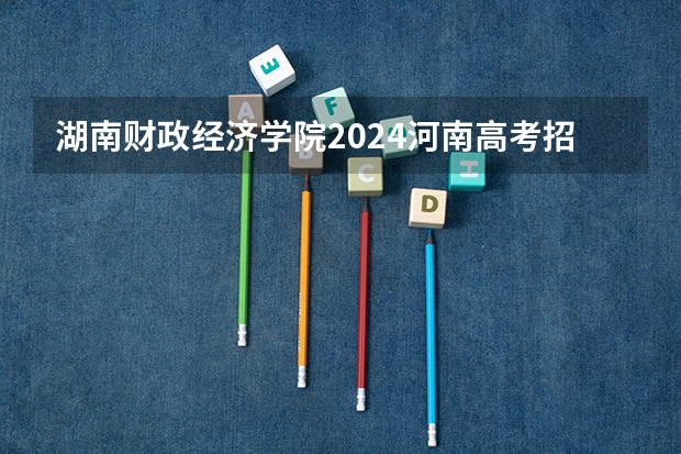 湖南财政经济学院2024河南高考招生计划 招多少人