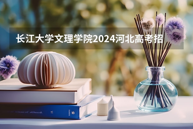 长江大学文理学院2024河北高考招生计划 招多少人