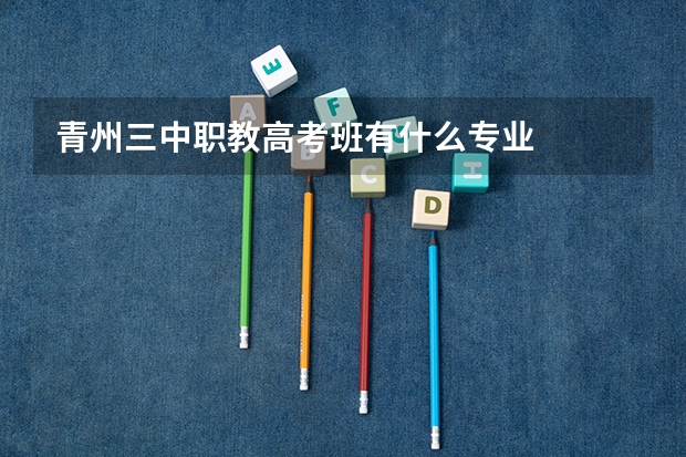 青州三中职教高考班有什么专业