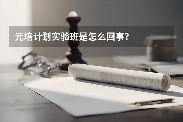 元培计划实验班是怎么回事？