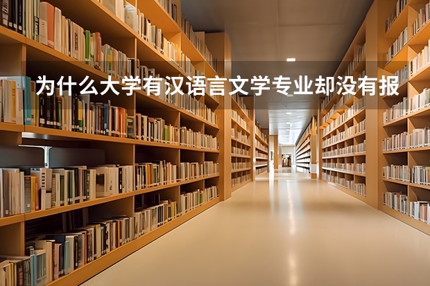 为什么大学有汉语言文学专业却没有报考代码