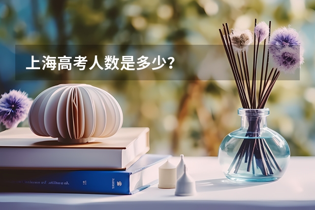 上海高考人数是多少？