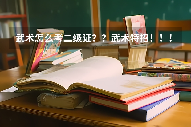 武术怎么考二级证？？武术特招！！！