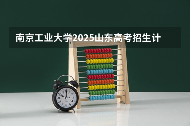南京工业大学2025山东高考招生计划 招多少人预测