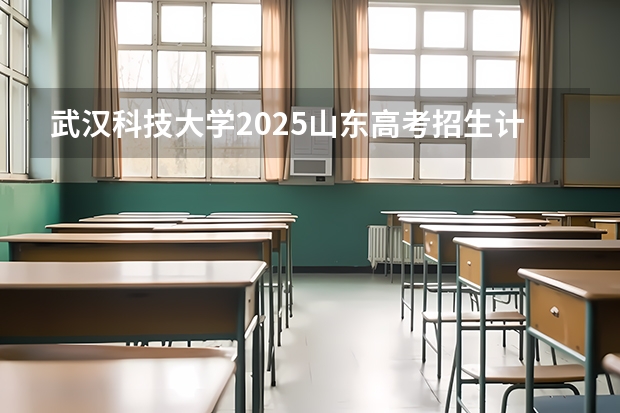 武汉科技大学2025山东高考招生计划 招多少人预测