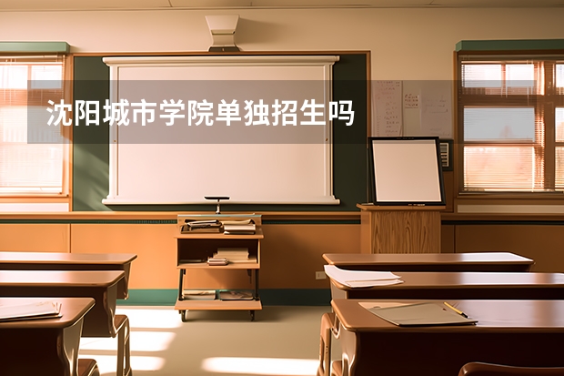 沈阳城市学院单独招生吗
