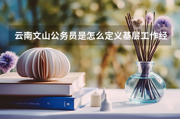 云南文山公务员是怎么定义基层工作经验的？