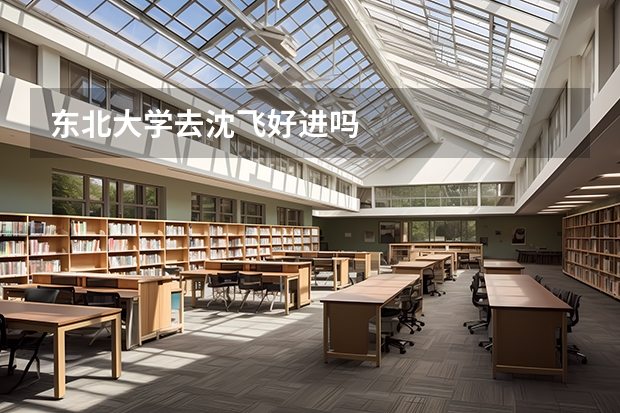 东北大学去沈飞好进吗