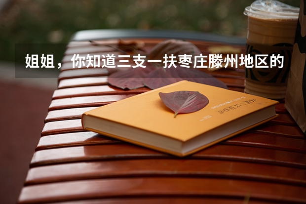 姐姐，你知道三支一扶枣庄滕州地区的支教待遇吗？