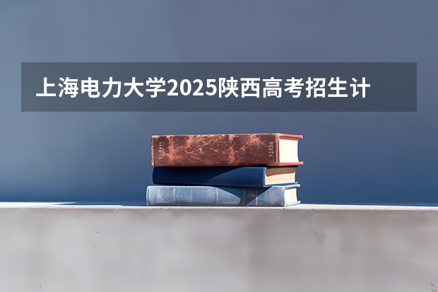 上海电力大学2025陕西高考招生计划 招多少人预测