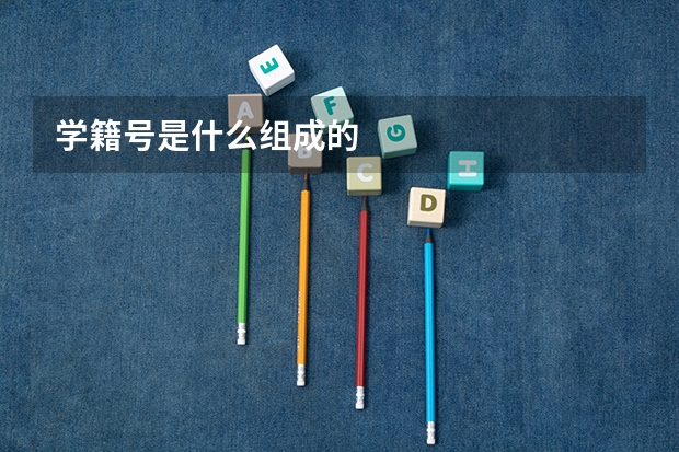 学籍号是什么组成的