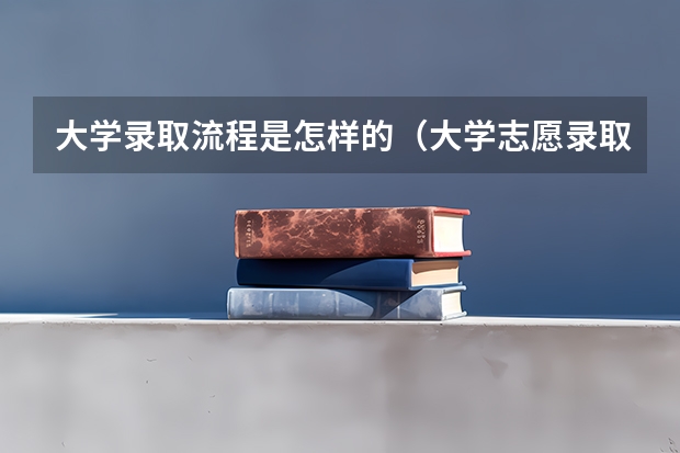 大学录取流程是怎样的(大学志愿录取顺序)
