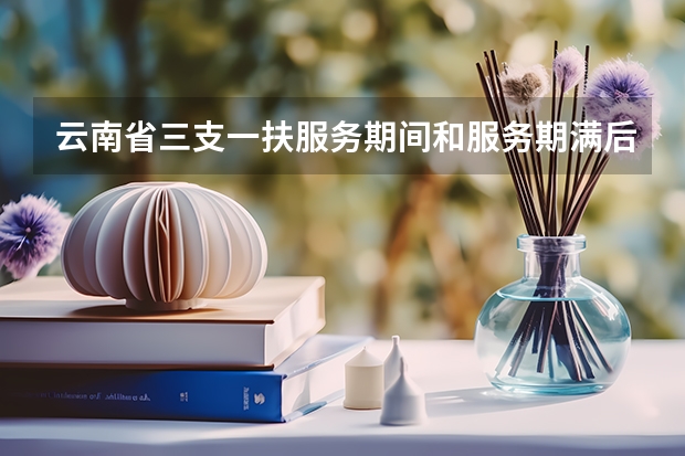 云南省三支一扶服务期间和服务期满后能够享受哪些政策