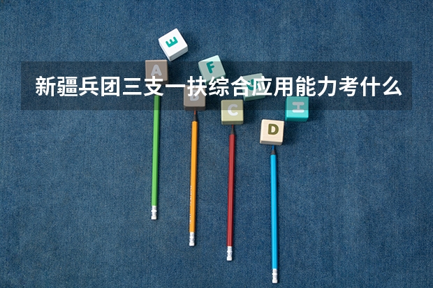 新疆兵团三支一扶综合应用能力考什么