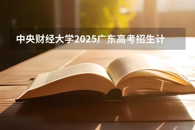 中央财经大学2025广东高考招生计划 招多少人