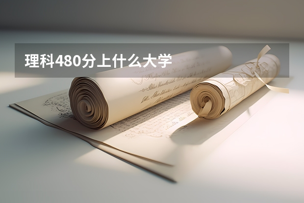 理科480分上什么大学