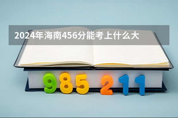 2024年海南456分能考上什么大学?