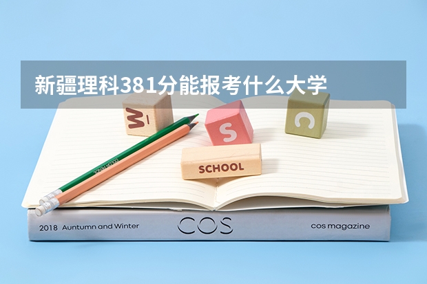 新疆理科381分能报考什么大学