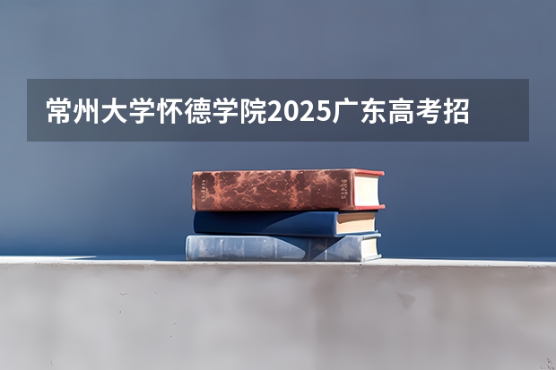 常州大学怀德学院2025广东高考招生计划 招多少人