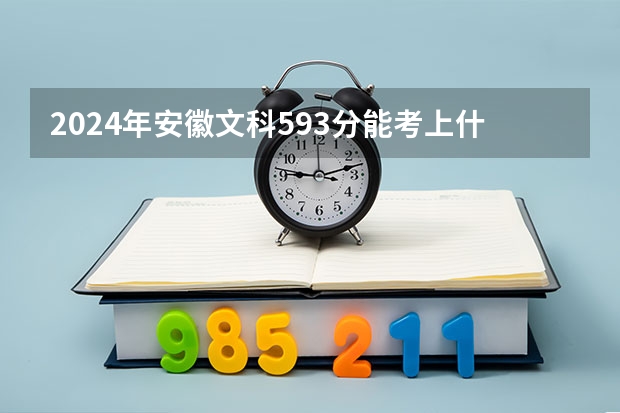 2024年安徽文科593分能考上什么大学?