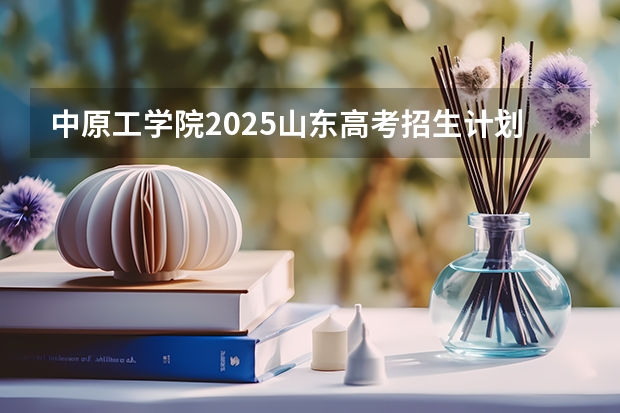 中原工学院2025山东高考招生计划 招多少人