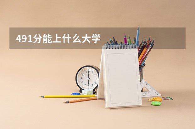 491分能上什么大学