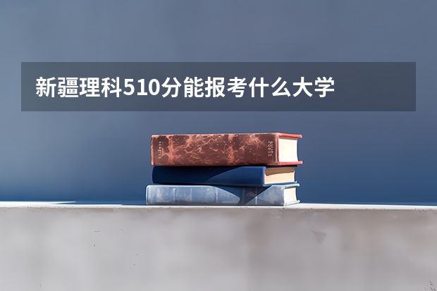 新疆理科510分能报考什么大学