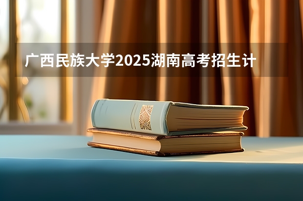 广西民族大学2025湖南高考招生计划 招多少人