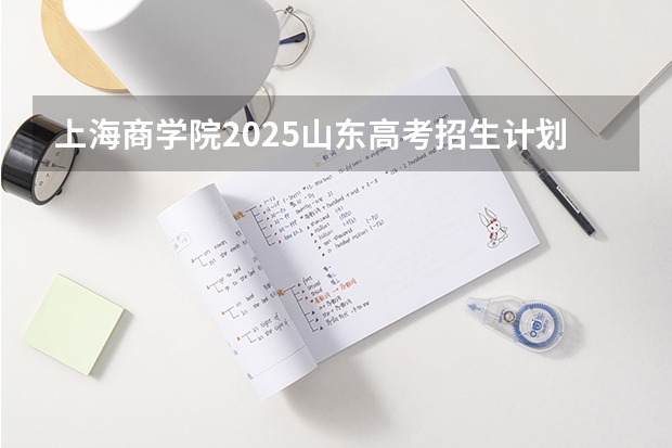 上海商学院2025山东高考招生计划 招多少人