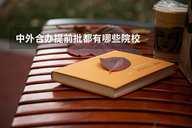 中外合办提前批都有哪些院校
