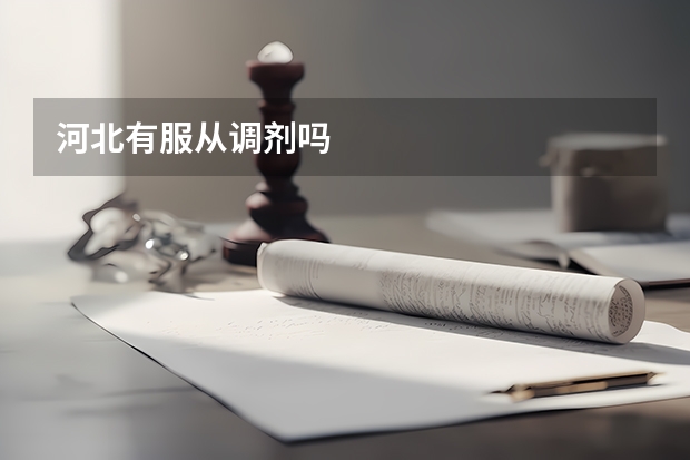 河北有服从调剂吗