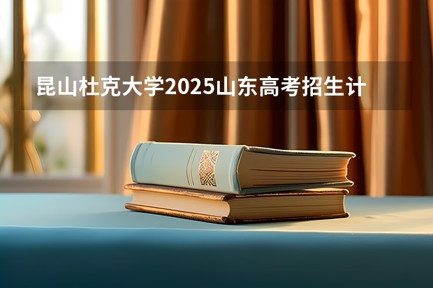 昆山杜克大学2025山东高考招生计划 招多少人